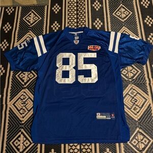 NFL Indianapolis Colts Pierre Garson rare football jersey W/Super Bowl patch